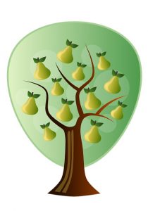 Pear Tree logo